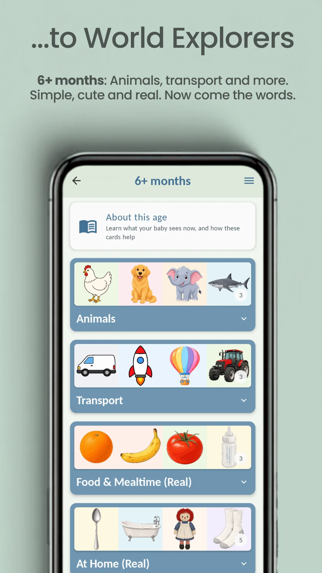 "…to world explorers": the 6+ months screen, listing Animals, Transport, Food & Mealtime (Real) and At Home (Real), each showing four of its cards.